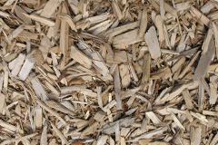 biomass boilers Scardans